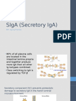 Siga (Secretory Iga) : Rm. Agung Pranata