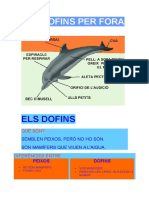 DOFINS.doc