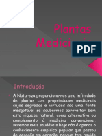 Plantas Medicinais 5593896eb8a8b