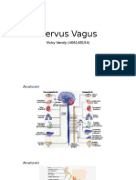 Nervus Vagus dan Fungsinya