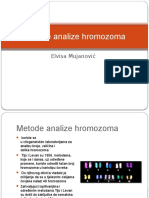 Metode Analize Hromozoma