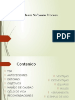 Team Software Process