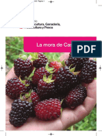 Manual El cultivo de la  mora.pdf