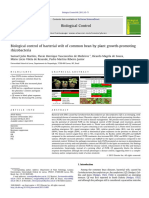 Biological Control of Bacterial Wilt of Common Bean by Plant Growth-promoting