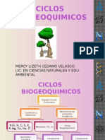 ciclos-biogeoquimicos