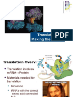 02 Protein Synthesis Translation.pptx