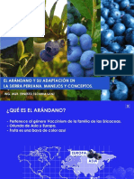 Adaptación Del Arándano PDF