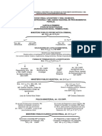 Diagrama Proceso Penal Acusatorio.pdf