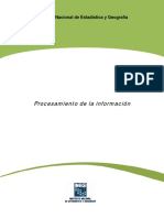 Procesamiento Informacion PDF