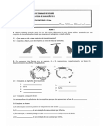 Ficha de Revisões Metamorfose