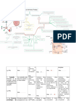 Hormonas Tiroideas - Mapa Conceptual