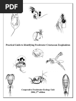Miwa The Physiology of Fishes - David H Evans | PDF | Sharks