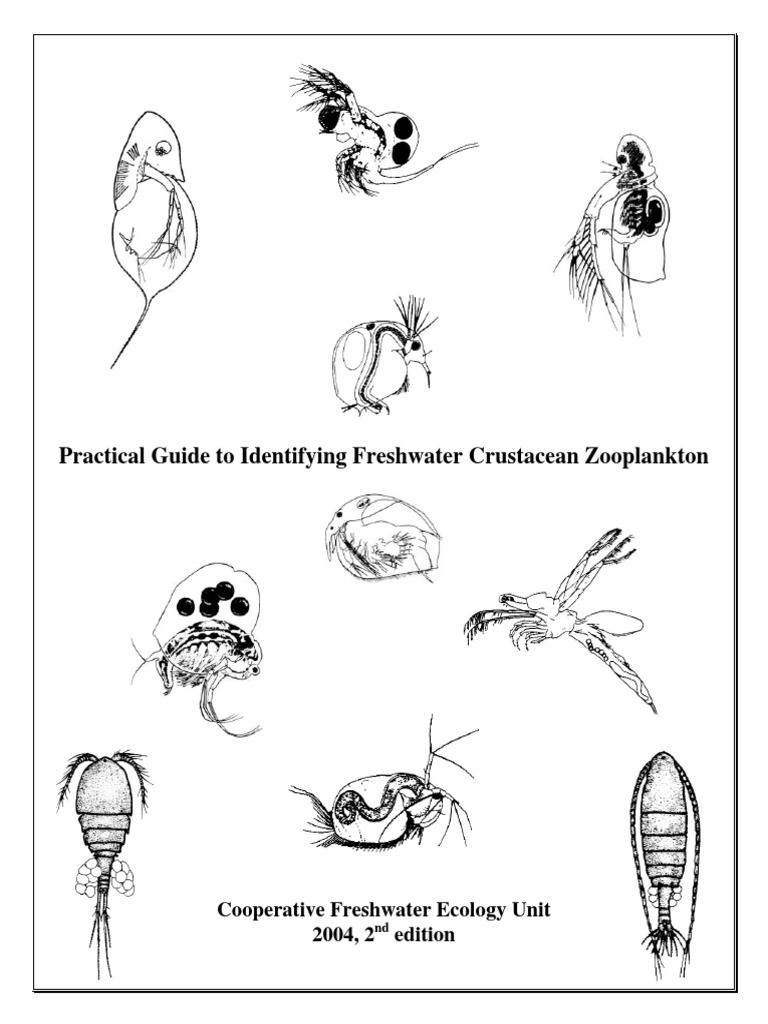  Zooplankton  Guide to Taxonomy pdf Anatomical Terms Of 