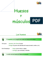 huesos-ymusculos-1200008843649720-5