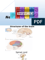 Neurologic System