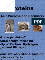 Proteins: Their Purpose and Chemistry