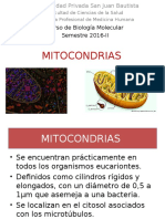 Sem8 Mitocondrias