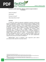 ARTIGO CIENTIFICO PAIRO.pdf