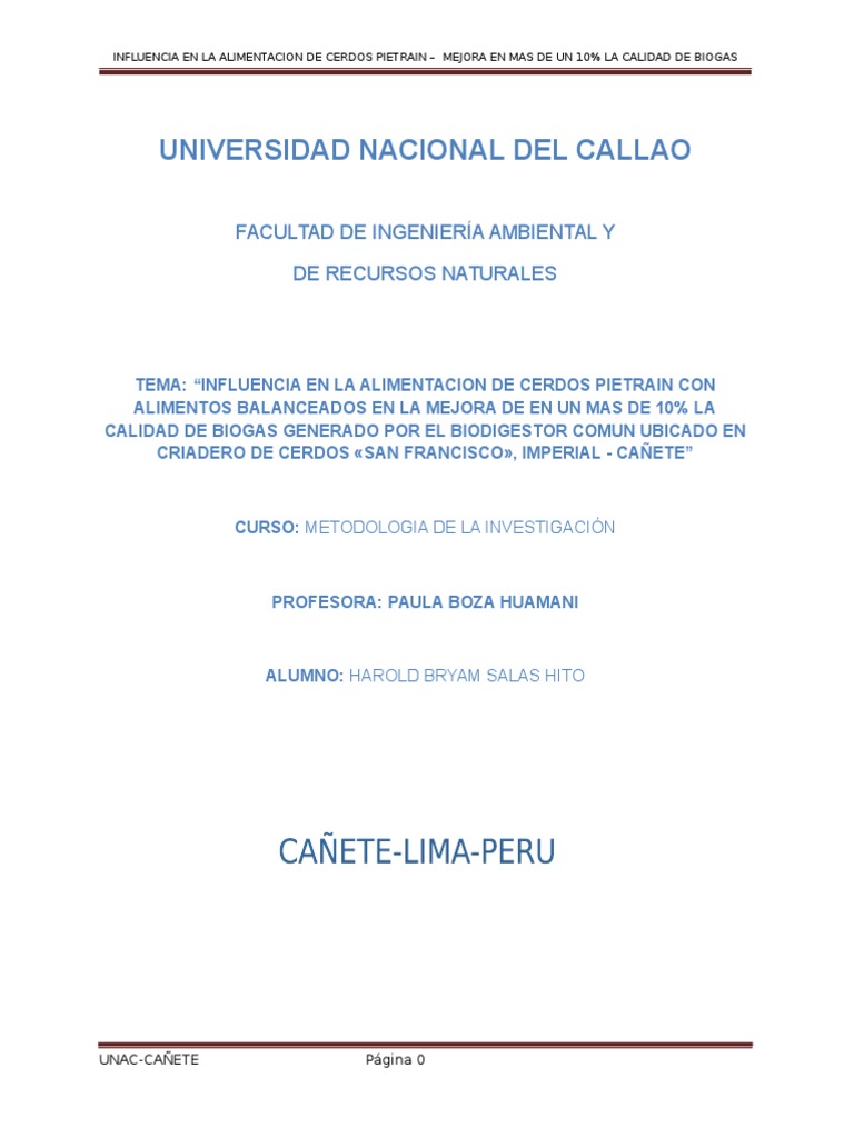 Perfil Del Proyecto de Investigacion "digestor"