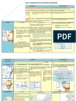 Pares craneales DEF.pdf