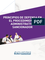 LV 03 Principios Defensa PDF