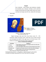 Topografi