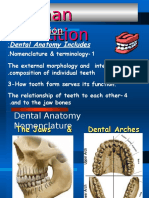 64288110 Dental Anatomy Intro