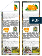 Flyer DE LA FERIA DE LA NARANJA