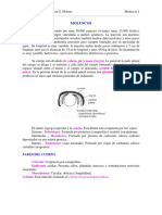 465-2013-08-22-E1 MOLUSCOS.pdf