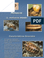 MOLUSCOS_ 2_13.pdf