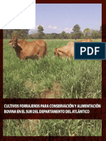 Cultivos Forrajeros Para Conservacion y Alimentacion Bovina en El Sur Del Departamento Del AtlÃ¡Ntico