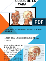 musculo de la cara.pptx