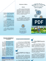 Tríptico proyecto general.pdf