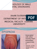 Day 11 Histopathology of Male Genital Disorders