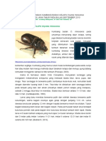 Web Tingkat Serangan Kumbang Badak Kelapa Oryctes Rhinoceros Rev