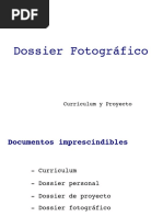 Estructura para Hacer Un Dossier | PDF