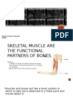 How Bones and Muscle Interact Rep