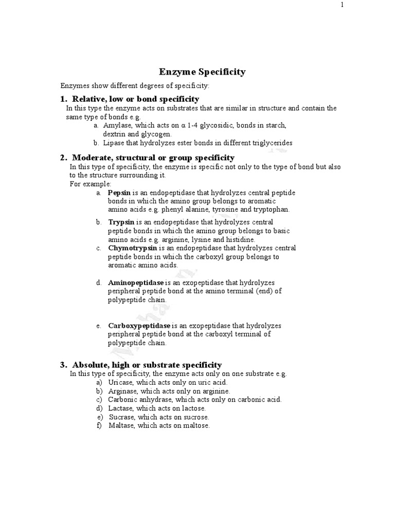 Enzyme Specificity and Action Factors | PDF | Hydrolysis | Enzyme