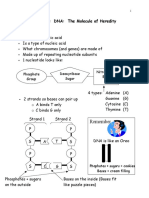 DNA Notes PDF