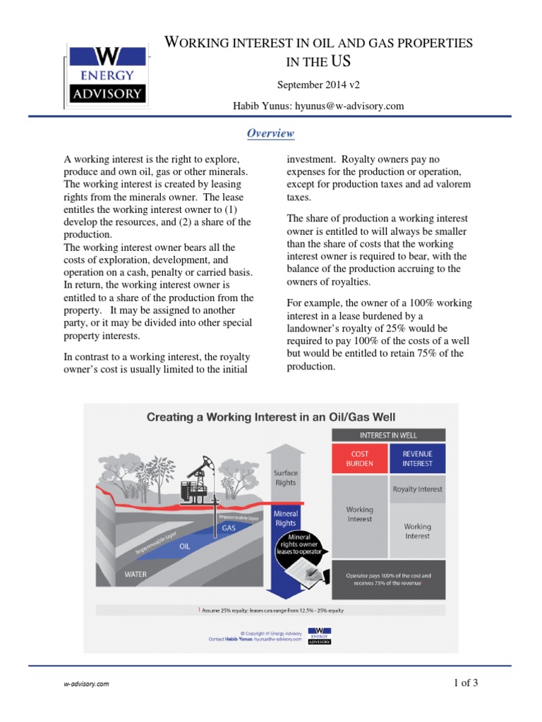 Working Interest Introduction W Energy Advisory v2 | PDF | Tax ...