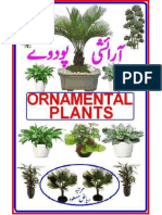 Ornamental Plant Urdu