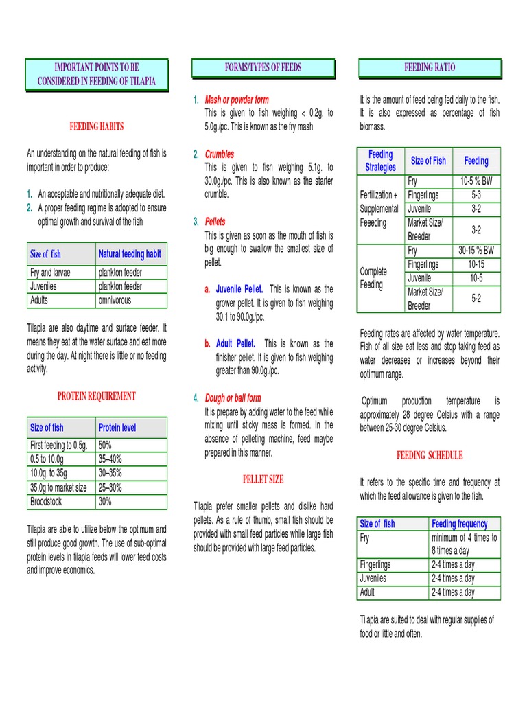 Feeding of Tilapia Fish Pond Free 30day Trial Scribd