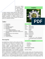 Passiflora - Wikipedia, La Enciclopedia Libre