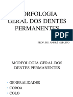 morfologia_geral_dos_dentes_permanentes.pdf