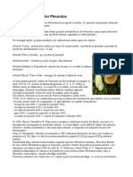 37850428-Cultivarea-ciupercilor-Pleurotus.pdf