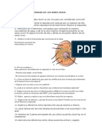 Cepa Act - Diversidad