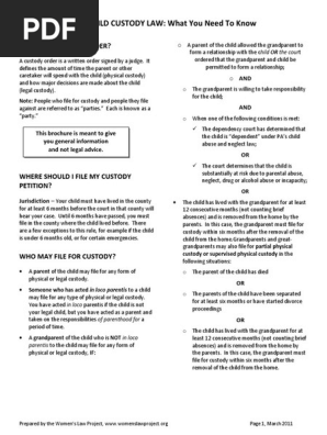 custody legal advice