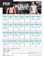 Freakmode Calendar PDF