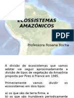 Ecossistemas Amazônicos