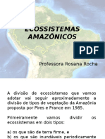 Ecossistemas Amazônicos: Floresta Densa, Baixio e Campinarana